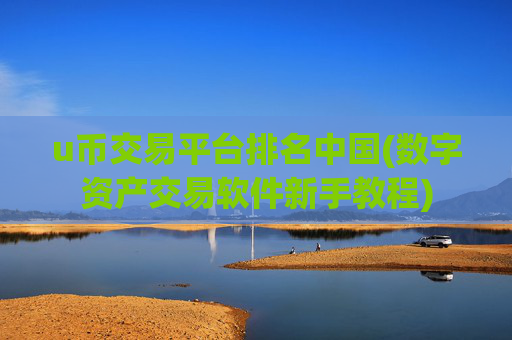 u币交易平台排名中国(数字资产交易软件新手教程)