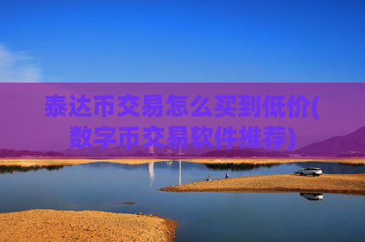泰达币交易怎么买到低价(数字币交易软件推荐)