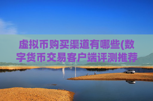 虚拟币购买渠道有哪些(数字货币交易客户端评测推荐)