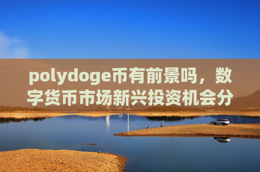 polydoge币有前景吗，数字货币市场新兴投资机会分析