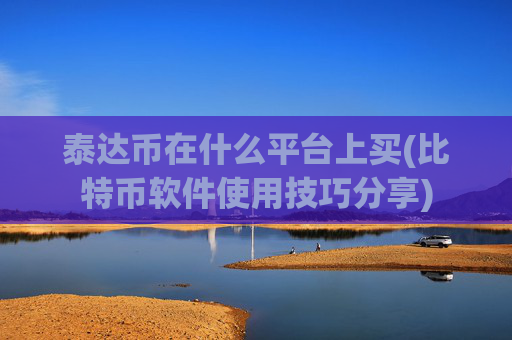 泰达币在什么平台上买(比特币软件使用技巧分享)