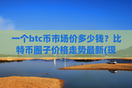 一个btc币市场价多少钱?比特币圈子价格走势最新(现价706284.64元)