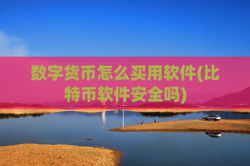 数字货币怎么买用软件(比特币软件安全吗)