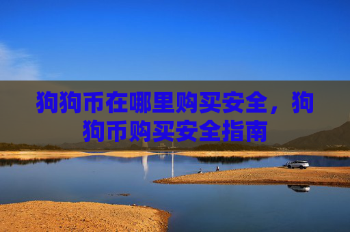 狗狗币在哪里购买安全,狗狗币购买安全指南