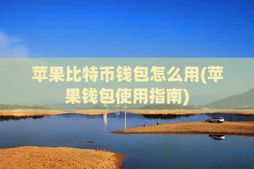 苹果比特币钱包怎么用(苹果钱包使用指南)