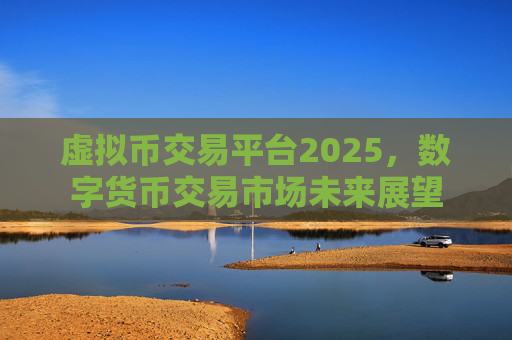 虚拟币交易平台2025，数字货币交易市场未来展望