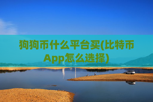 狗狗币什么平台买(比特币App怎么选择)