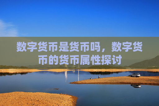 数字货币是货币吗,数字货币的货币属性探讨