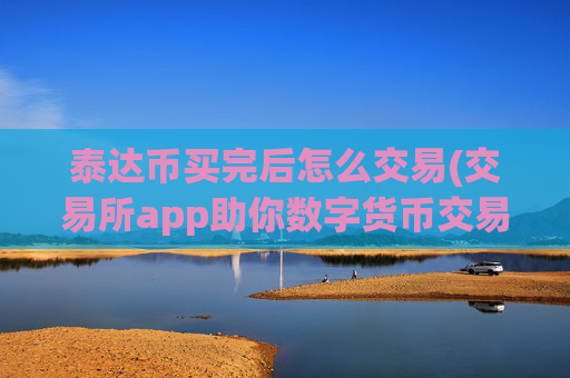 泰达币买完后怎么交易(交易所app助你数字货币交易)
