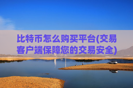 比特币怎么购买平台(交易客户端保障您的交易安全)