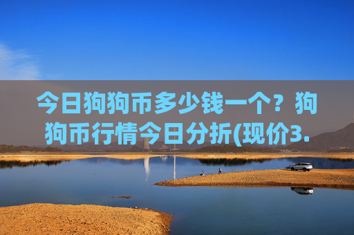 今日狗狗币多少钱一个？狗狗币行情今日分折(现价3.1625元)