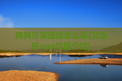 狗狗币买涨跌怎么看(交易所app功能介绍)