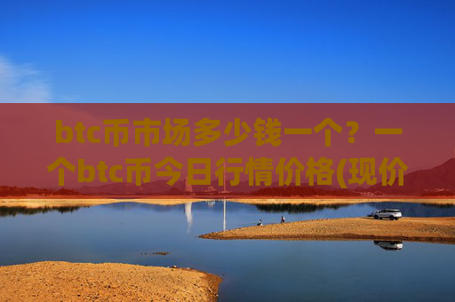 btc币市场多少钱一个?一个btc币今日行情价格(现价707972.31元)