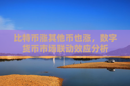比特币涨其他币也涨，数字货币市场联动效应分析