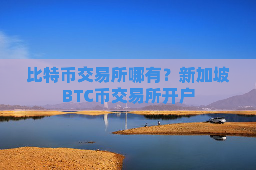 比特币交易所哪有?新加坡BTC币交易所开户
