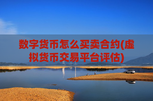 数字货币怎么买卖合约(虚拟货币交易平台评估)