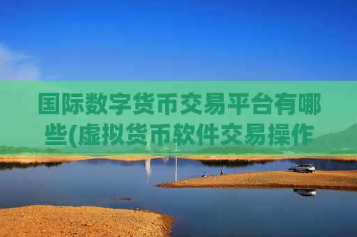 国际数字货币交易平台有哪些(虚拟货币软件交易操作技巧)