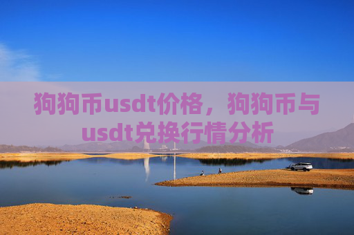 狗狗币usdt价格，狗狗币与usdt兑换行情分析