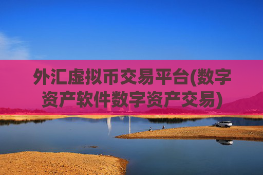外汇虚拟币交易平台(数字资产软件数字资产交易)