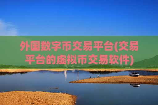 外国数字币交易平台(交易平台的虚拟币交易软件)