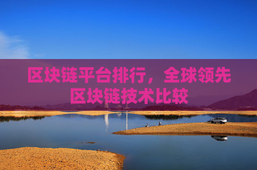 区块链平台排行,全球领先区块链技术比较