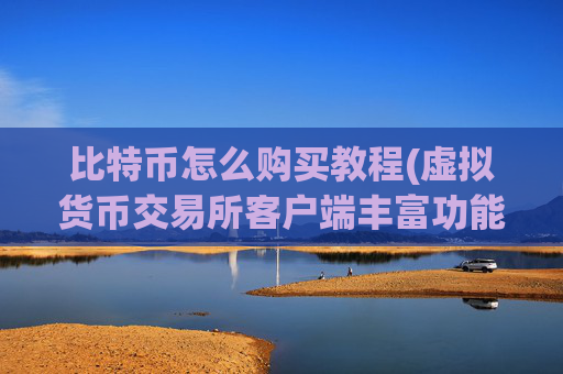 比特币怎么购买教程(虚拟货币交易所客户端丰富功能)