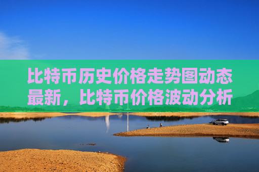 比特币历史价格走势图动态最新，比特币价格波动分析与预测