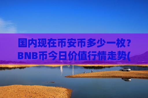 国内现在币安币多少一枚？BNB币今日价值行情走势(现价5312.41元)