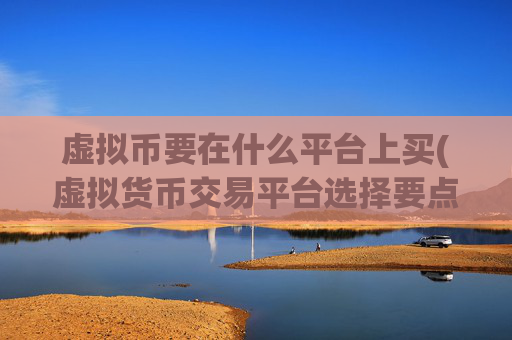 虚拟币要在什么平台上买(虚拟货币交易平台选择要点)