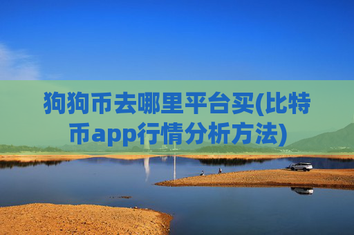 狗狗币去哪里平台买(比特币app行情分析方法)