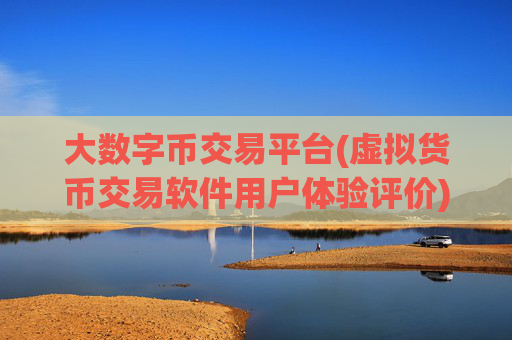 大数字币交易平台(虚拟货币交易软件用户体验评价)