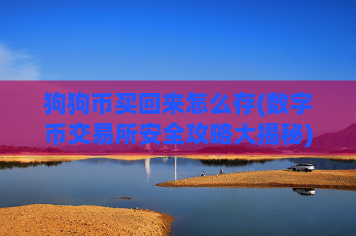 狗狗币买回来怎么存(数字币交易所安全攻略大揭秘)