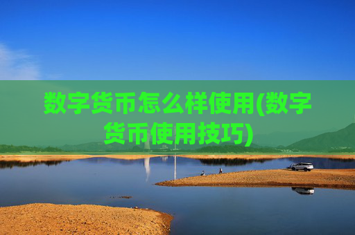 数字货币怎么样使用(数字货币使用技巧)
