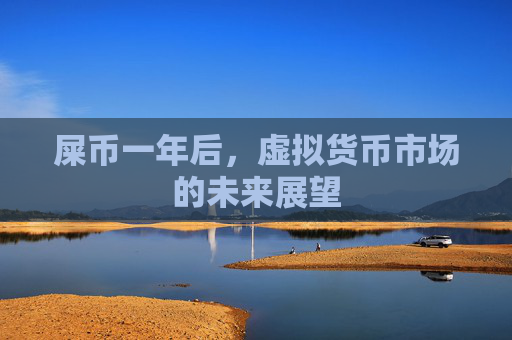 屎币一年后，虚拟货币市场的未来展望