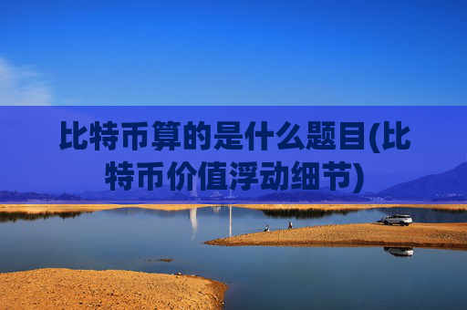 比特币算的是什么题目(比特币价值浮动细节)
