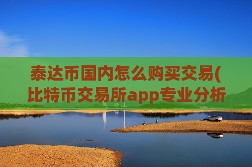 泰达币国内怎么购买交易(比特币交易所app专业分析)