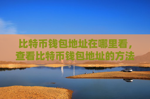 比特币钱包地址在哪里看,查看比特币钱包地址的方法