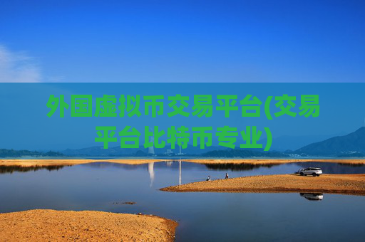 外国虚拟币交易平台(交易平台比特币专业)