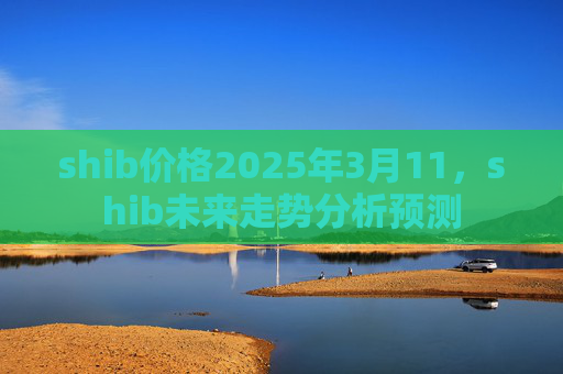 shib价格2025年3月11，shib未来走势分析预测