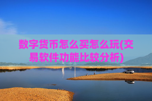 数字货币怎么买怎么玩(交易软件功能比较分析)