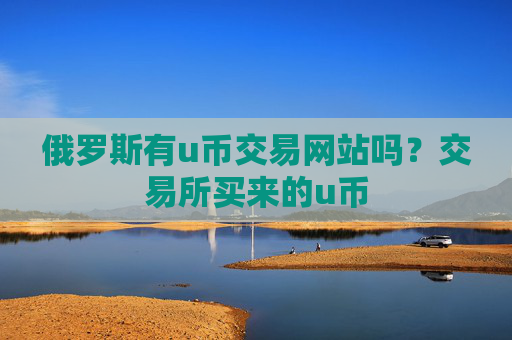 俄罗斯有u币交易网站吗？交易所买来的u币