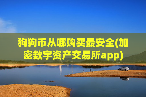 狗狗币从哪购买最安全(加密数字资产交易所app)