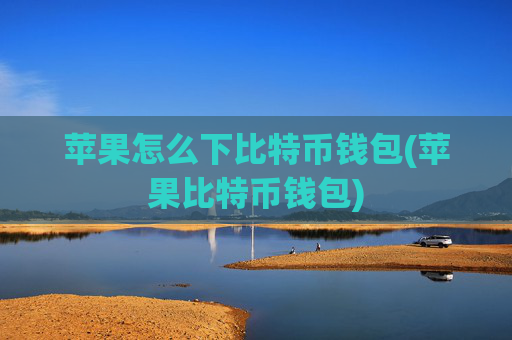 苹果怎么下比特币钱包(苹果比特币钱包)