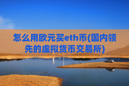 怎么用欧元买eth币(国内领先的虚拟货币交易所)
