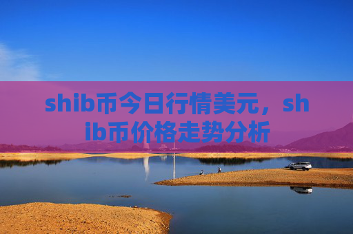 shib币今日行情美元,shib币价格走势分析