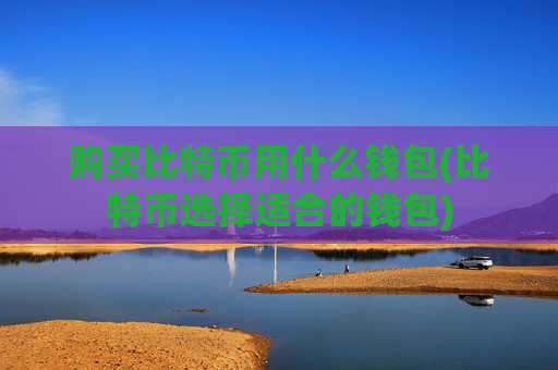 购买比特币用什么钱包(比特币选择适合的钱包)