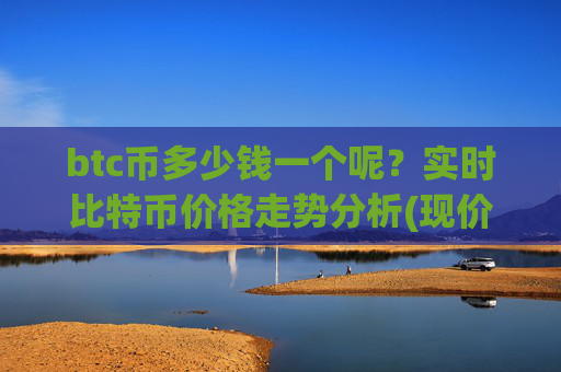 btc币多少钱一个呢？实时比特币价格走势分析(现价709219.62元)
