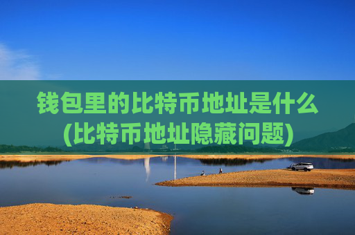 钱包里的比特币地址是什么(比特币地址隐藏问题)