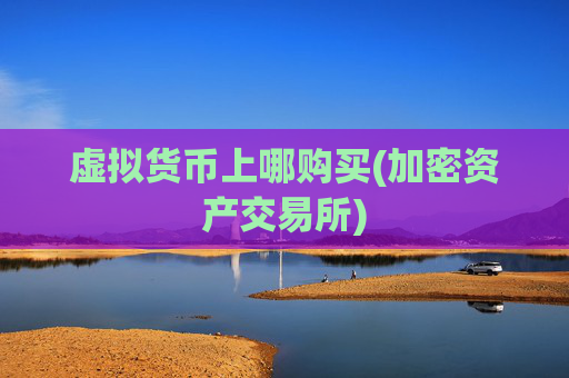 虚拟货币上哪购买(加密资产交易所)