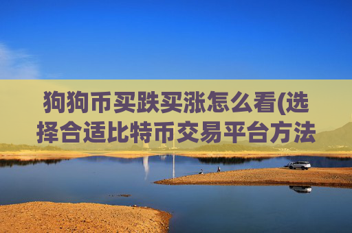 狗狗币买跌买涨怎么看(选择合适比特币交易平台方法)